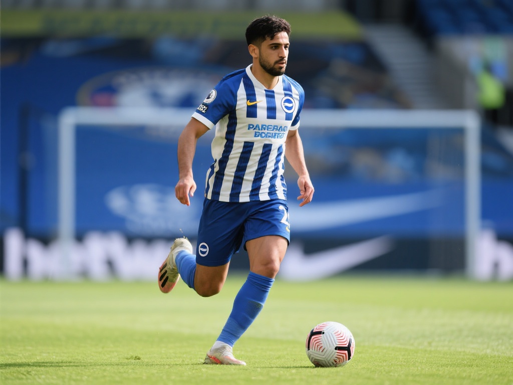 极高完成度 极高完成度